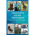 Thoughts On My Thoughts
