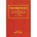 Protomorphology