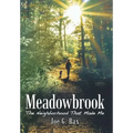 Meadowbrook: The Neighborhood That Made Me