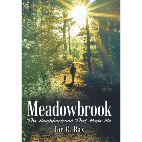 Meadowbrook: The Neighborhood That Made Me