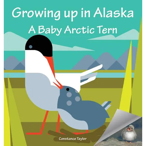 Growing Up in Alaska: A Baby Arctic Tern