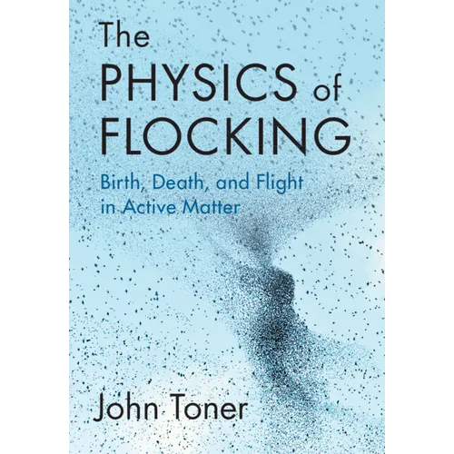 The Physics of Flocking