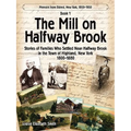 The Mill on Halfway Brook