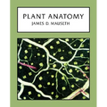 Plant Anatomy
