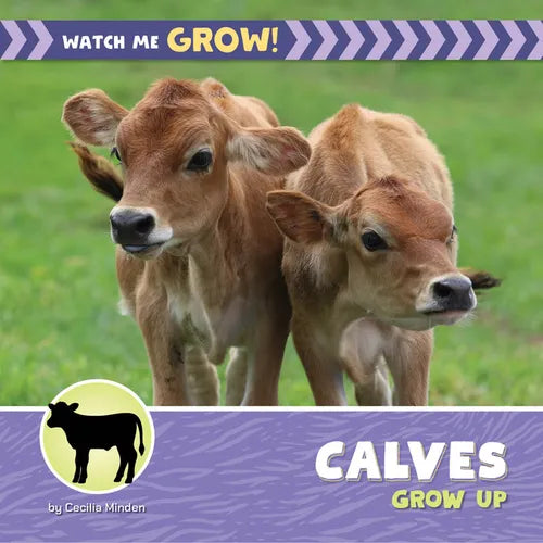 Calves Grow Up
