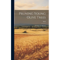 Pruning Young Olive Trees; B348
