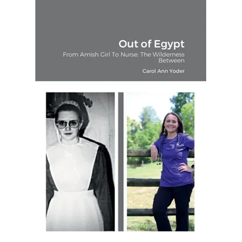 Out of Egypt: From Amish Girl To Nurse: The Wilderness Between
