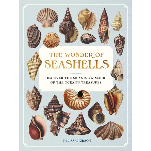 The Wonder of Seashells: Discover the Meaning & Magic of the Ocean's Treasures