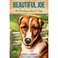 Beautiful Joe