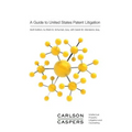 A Guide to United States Patent Litigation