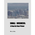 Small Business: A Step By Step Primer