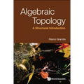 Algebraic Topology: A Structural Introduction