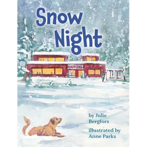 Snow Night
