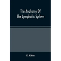 The Anatomy Of The Lymphatic System