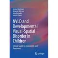 Nvld and Developmental Visual-Spatial Disorder in Children: Clinical Guide to Assessment and Treatment