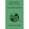 The Bobbsey Twins at Snow Lodge: A Winter Adventure with the Bobbsey Twins