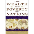 The Wealth and Poverty of Nations: Why Some Are So Rich and Some So Poor