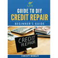 Guide to DIY Credit Repair: Beginner's Guide