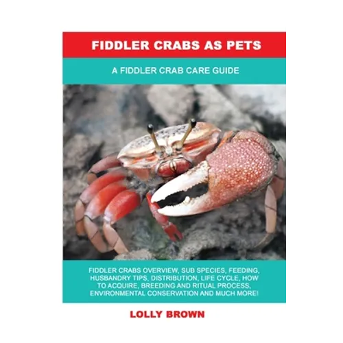 Fiddler Crabs as Pets: A Fiddler Crab Care Guide