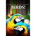 Birds! - Curious Kids Pess: (Picture book, Children's book about animals, Animal books for kids 5-7)