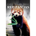 Red Pandas - Curious Kids Press: Kids book about animals and wildlife, Children's books 4-6