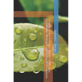 Tropical Water Security: Climate Challenges, Sustainable Strategies, and Ecosystem Solutions