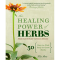 The Healing Power of Herbs: Medicinal Herbs for Common Ailments