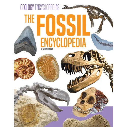 Fossil Encyclopedia