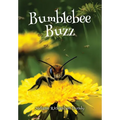 BumbleBeeBuzz