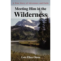 Meeting Him in the Wilderness: A True Story of Adventure and Faith