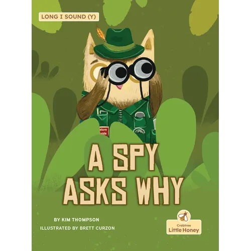 A Spy Asks Why