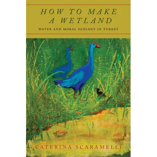 How to Make a Wetland: Water and Moral Ecology in Turkey