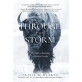 Through the Storm: The Path to Becoming a Resilient Leader