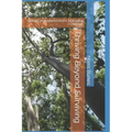 Thriving Beyond Surviving: Stories of Resilience From a Hospital Chaplain