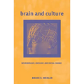 Brain and Culture: Neurobiology, Ideology, and Social Change
