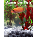 Aquarium Fish You Can Keep As Pets: A List Of Crazy, Exotic Fish To Keep As Pets
