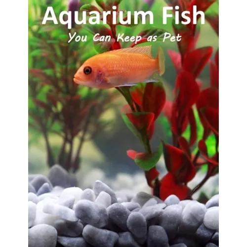 Aquarium Fish You Can Keep As Pets: A List Of Crazy, Exotic Fish To Keep As Pets