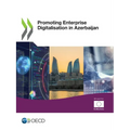 Promoting Enterprise Digitalisation in Azerbaijan