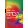 Investment in Energy Assets Under Uncertainty: Numerical Methods in Theory and Practice
