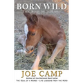 Born Wild - The Soul of a Horse