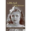 Little Girl in Big Pictures (hardback)