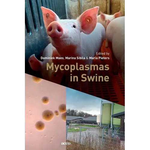 Mycoplasmas in Swine