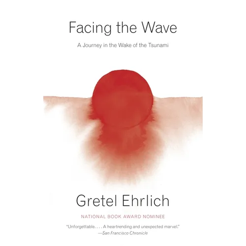 Facing the Wave: A Journey in the Wake of the Tsunami