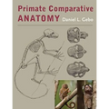 Primate Comparative Anatomy