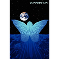 Mental Illness and the Psychic Connection
