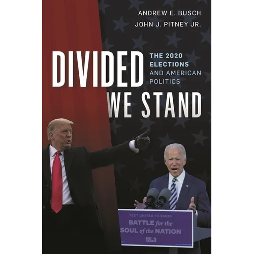 Divided We Stand: The 2020 Elections and American Politics