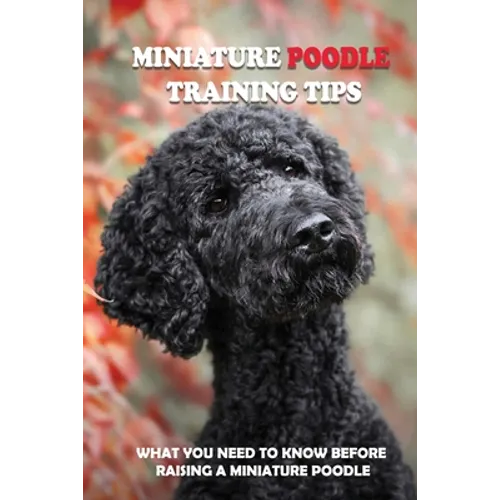 Miniature Poodle Training Tips: What You Need To Know Before Raising A Miniature Poodle: How To Raise A Well-Trained Miniature Poodle