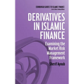 Derivatives in Islamic Finance: Examining the Market Risk Management Framework