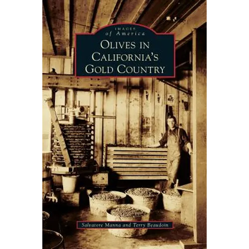 Olives in California's Gold Country