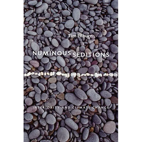 Numinous Seditions: Interiority and Climate Change
